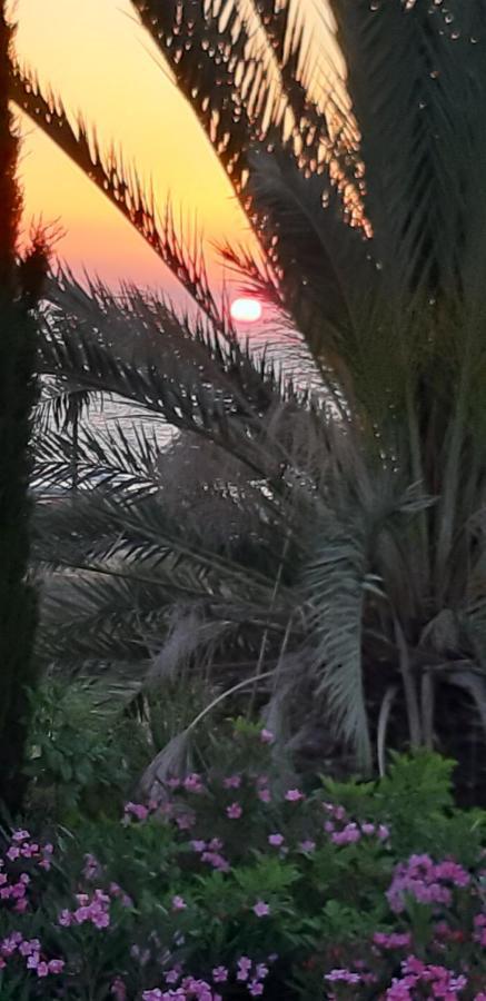 Coral Bay Suite Cyprus Zewnętrze zdjęcie